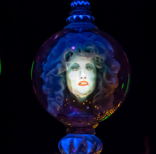 Haunted mansion holiday leota - haunted,