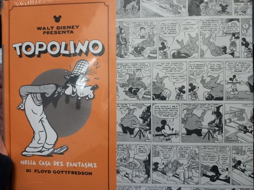 Topolino nella casa dei - nella,